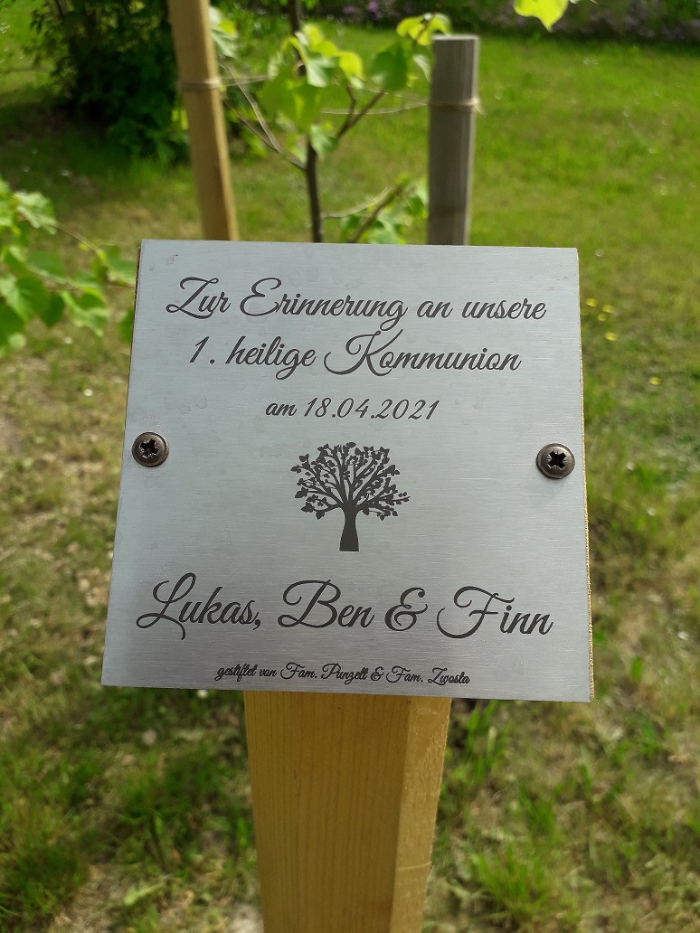 Kommunionkinder pflanzen eine Winterlinde