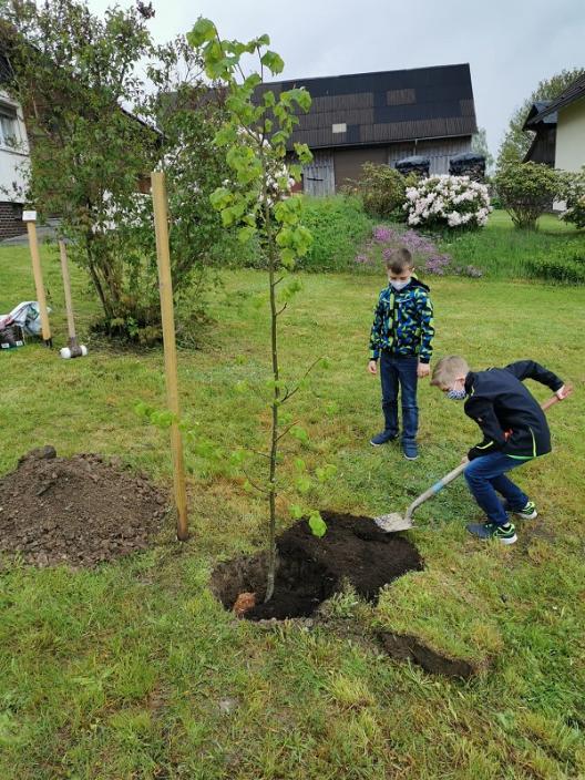 Kommunionkinder pflanzen eine Winterlinde