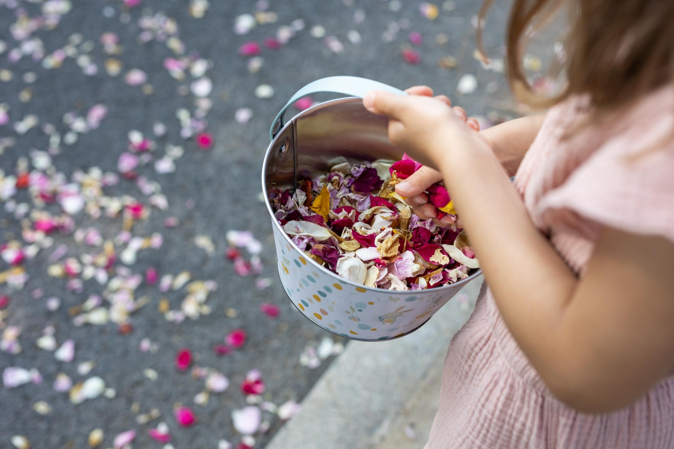 Fronleichnam 2025 in Bamberg