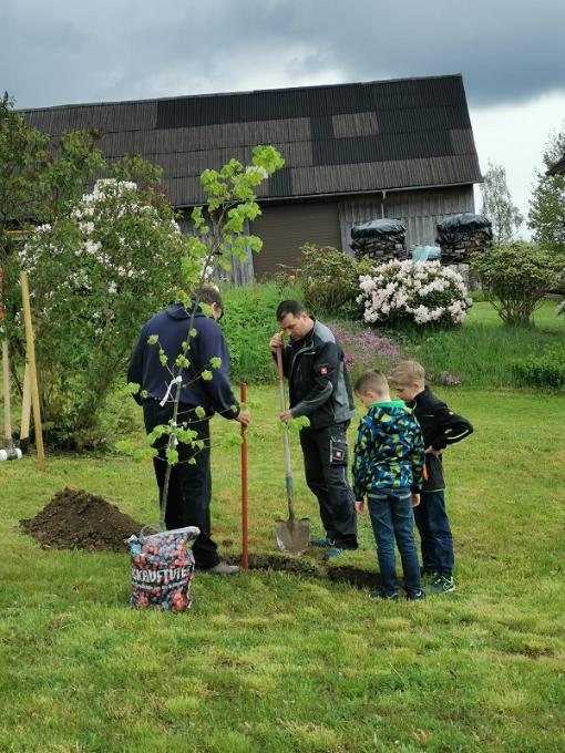 Kommunionkinder pflanzen eine Winterlinde